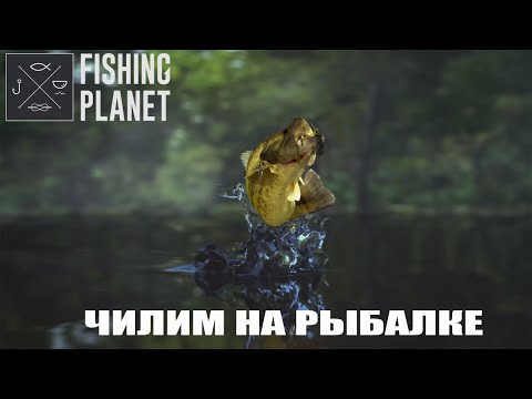 Видео: #shorts Fishing Planet  - Последний день лета на Випинг Вилоу - СТРИМ 31.08.2024