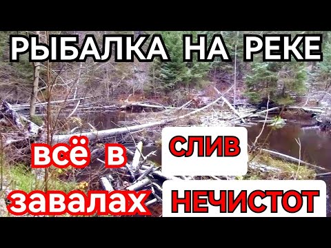 Видео: РЫБАЛКА НА РЕКЕ. РЕКА ВСЯ ЗАВАЛЕНА. СЛИВ В РЕКУ НЕЧИСТОТ. ПРОСТО УЖАС!!!
