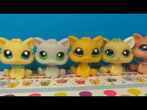 Видео: LPS: КОТЯТА