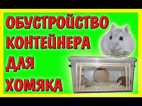 Видео: ОБУСТРОЙСТВО КОНТЕЙНЕР ДЛЯ ХОМЯКА / НОВЫЙ ДОМ ДЛЯ ХОМЯЧКА / НОВОСЕЛЬЕ КУКИ / # ХОМЯК