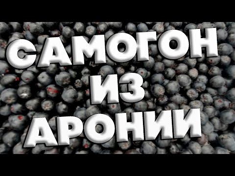 Видео: САМОГОН ИЗ ЧЕРНОПЛОДНОЙ РЯБИНЫ