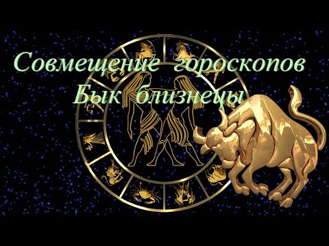 Видео: Совмещение гороскопов. Бык близнецы
