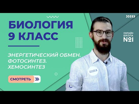 Видео: Энергетический обмен. Фотосинтез. Хемосинтез. Видеоурок 12. Биология 9 класс