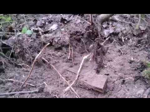 Видео: Раскопки Смоленщина