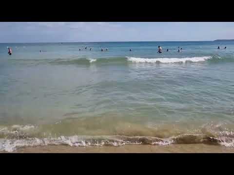 Видео: Пляж отеля [Dit】MAJESTIC 4☆Солнечный берег,Болгария🇧🇬