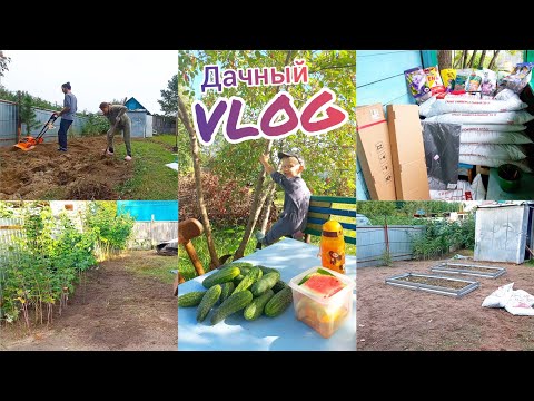 Видео: Дачный VLOG🏡Садовые покупки🌷Культивируем землю🤗Установили грядки😁Дочистила малину🤪Востановление дачи