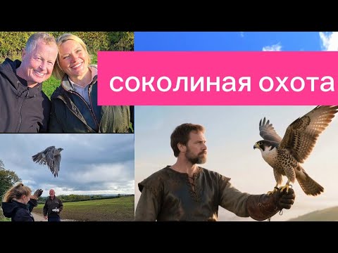 Видео: Мы посетили ферму соколиной охоты |Традиции, тренировки и красота хищных птиц @FairyPatch 