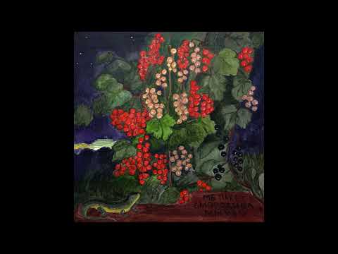 Видео: МБ Пакет - Смородина (альбом, 2025)