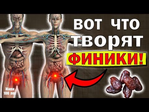 Видео: Всего ТРИ ФИНИКА В ДЕНЬ запустят необратимые процессы в вашем организме. ФИНИКИ польза или вред?