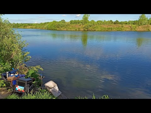 Видео: Вечерня рыбалка на фидер на реке Сылва.