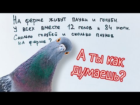 Видео: Задача про головы и ноги