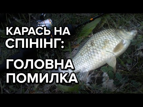 Видео: Карась на спінінг. Головна помилка.