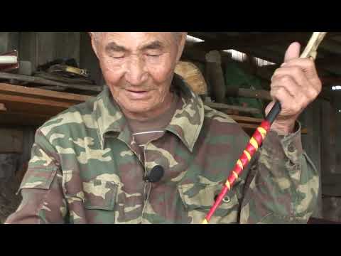 Видео: Ташуурнуудай янза тухай хөөрэнэ