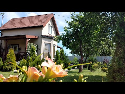 Видео: ☘ Позвольте Огороду Быть Красивым🌷 Огород в сентябре. #огород #цветы #урожай