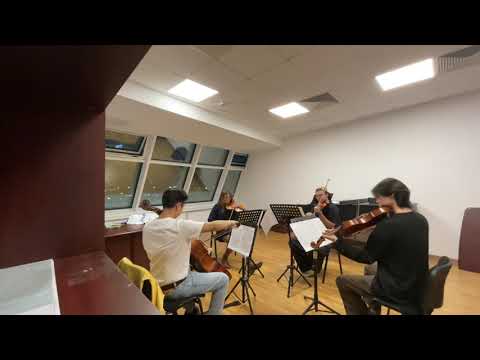 Видео: 1-2 часть Гайдн