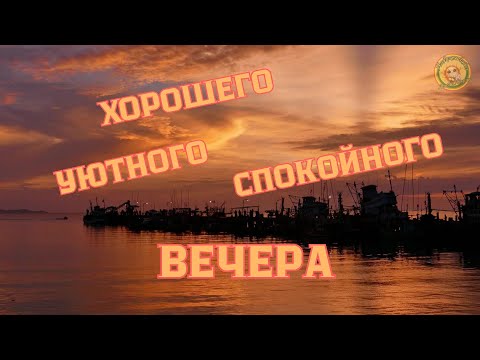 Видео: ЭТО САМЫЙ ПРЕКРАСНЫЙ ВЕЧЕР 🌺УЮТА И СПОКОЙСТВИЯ #ХорошегоВечера #добрыйвечер #Поздравление #Пожелание