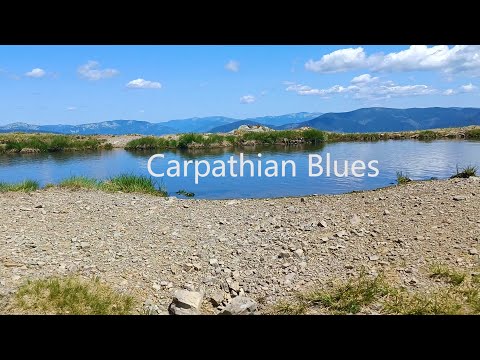 Видео: Стримба Випуск 20 31.07.24 Carpathian Blues by SUNO or LATER #allow_strikes_back_inside_russia