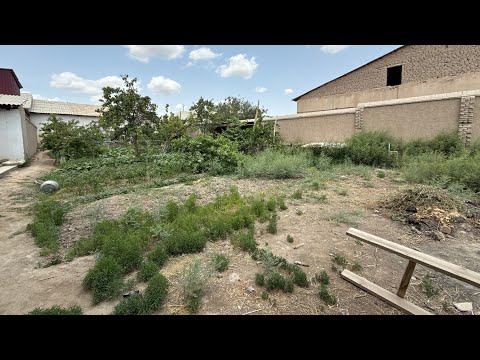 Видео: УРГАНЧ.Ш ЗУР ТОЧКАДА 420М² ЖОЙ УРИН СОТИЛАДИ.☎️+998(99)508 03 65