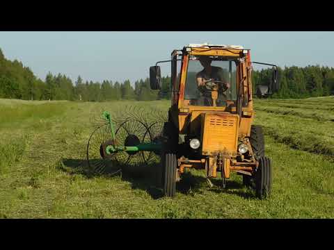 Видео: КАК работают грабли ворошилки Турция 3,3м и трактор Т25!