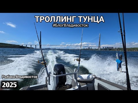 Видео: Рыбалка во Владивостоке, троллинг тунца. АСКОЛЬД. #БлогВладивосток 