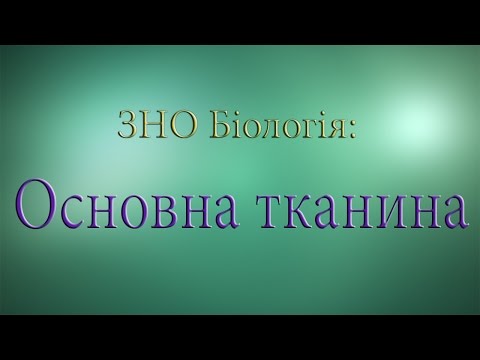 Видео: ЗНО Біологія  Основна тканина