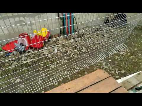 Видео: Клітка для кролів з сітки. Ч.1