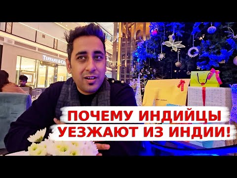 Видео: Почему индийцы не хотят жить в Индии? Ищем селёдку к новому году!
