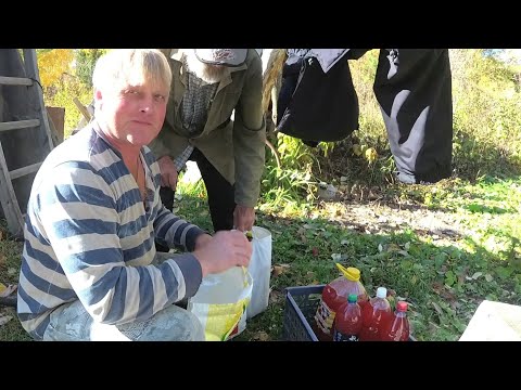 Видео: Пасека, делаем напитки.