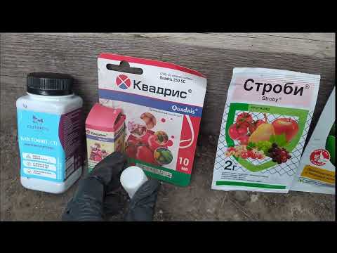 Видео: ТОМАТЫ.ПРОФИЛАКТИКА от БОЛЕЗНЕЙ. Квадрис.Лучше предупредить, чем лечить!