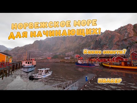 Видео: Русская рыбалка 4 - НОРВЕЖСКОЕ МОРЕ ДЛЯ НАЧИНАЮЩИХ! БЮДЖЕТНАЯ СБОРКА! НА ЧТО ЛОВИТЬ?