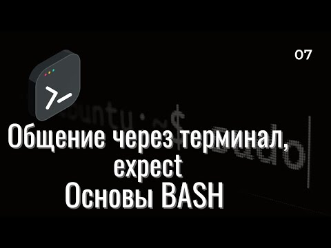 Видео: Основы BASH | expect, who, mesg, autoexpect