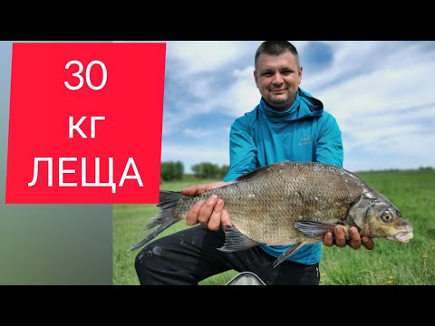 Видео: Лещ приплыл на горох. Рыбалка на  донную снасть.
