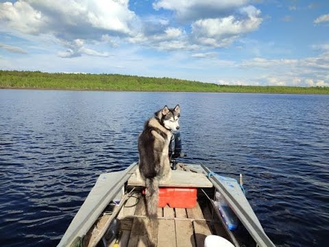 Видео: Путешествие на озеро Чусовское. Мерзляковский круг, отдых и немного рыбалки.