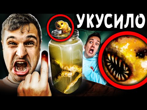 Видео: ОНО НАПАЛО на нас ЧЕРВЬ ПОЖИРАТЕЛЬ из даркнета УКУСИЛ друга страшные истории в реальной жизни