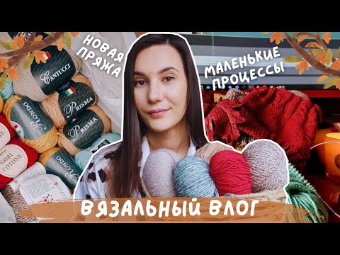 Видео: ВЯЗАЛЬНЫЙ ВЛОГ №113 | Вяжу маленькие процессы | Новая пряжа для обзора