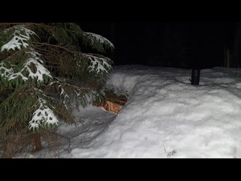 Видео: обзор фонаря / готовлю еду в землянке