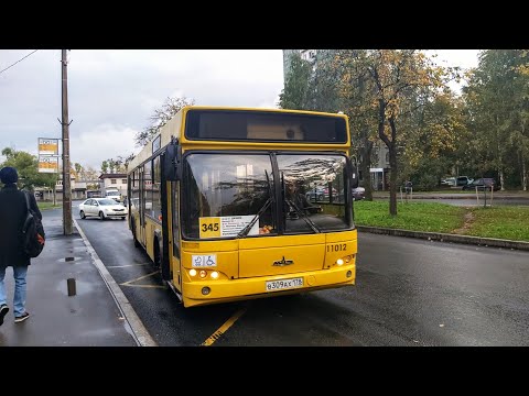 Видео: Автобус, маршрут №345 МАЗ-103.465 б.11012 (Бывший №309) (28.09.2022) Санкт-Петербург
