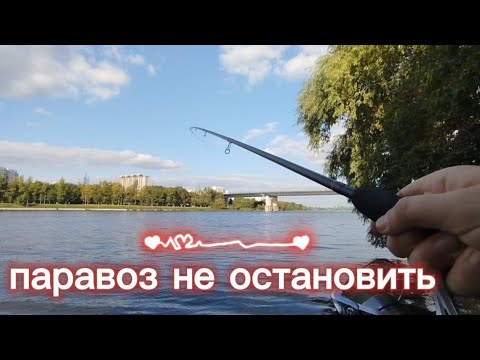 Видео: РЫБАЛКА НА ФИДЕР/ФИДЕР В СЕНТЯБРЕ 