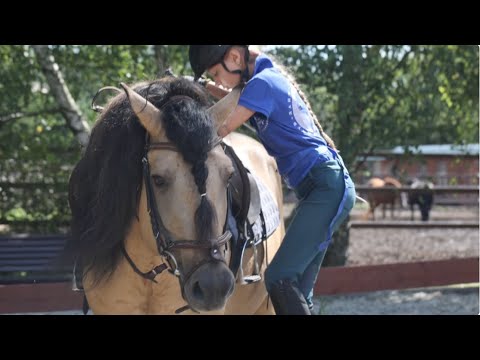 Видео: Ирина Ларионова, конный клуб Лаир: о вятках. И не только. Часть5
