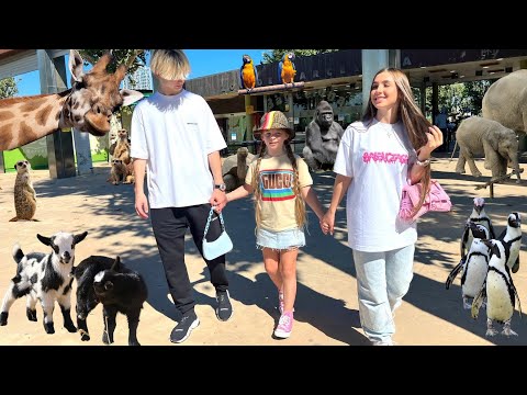 Видео: ЗАПУТИЛИ СМО СЕ У ЗОО ВРТ! 🦁 мини- породица пингвина 🐧 Дијана, Кирил, Дана и Кнопа 🐾