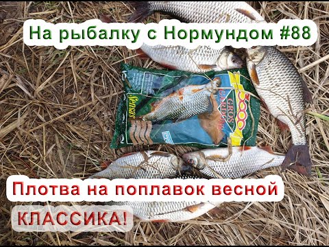 Видео: Плотва на поплавок весной - КЛАССИКА! На рыбалку с Нормундом #88