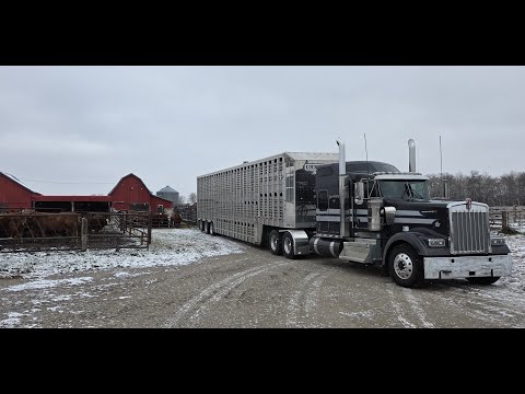 Видео: Направляется к покупателю