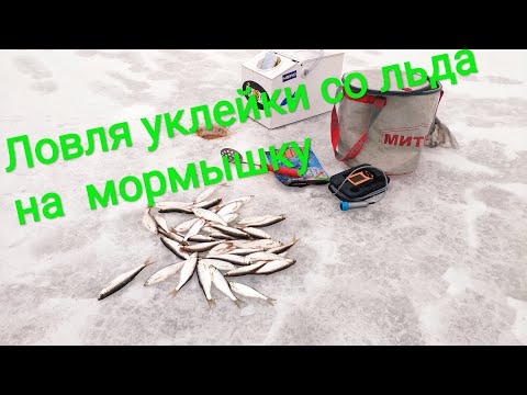 Видео: 2 апреля 2019 г.