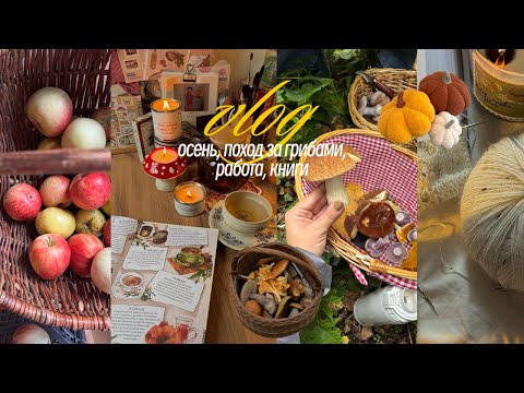 Видео: уютная осень: работа в издательстве, книжные новинки, собираем грибы, осенняя Москва | влог vlog