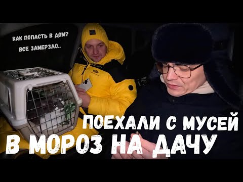 Видео: Поехали в аномальный мороз на дачу с Мусей / не без приключений, как же попасть в дом. Дачный влог