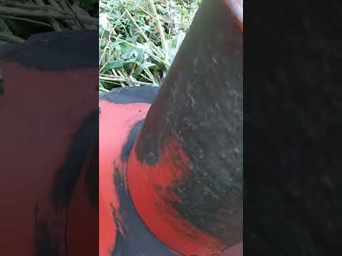 Видео: роторная косилка Уралец,как справляется с бурьяном 2-2,5метра в высоту