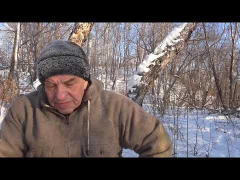 Видео: Почему нельзя врать ? Видео с канала "Таежная обитель".