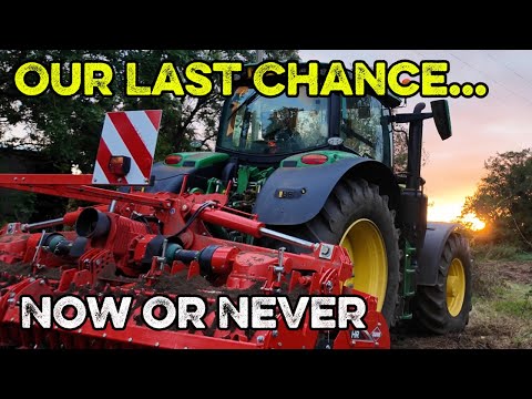 Видео: Осенняя обработка почвы, стрижка живой изгороди по методу Макконнелла, повторный посев травы и по...