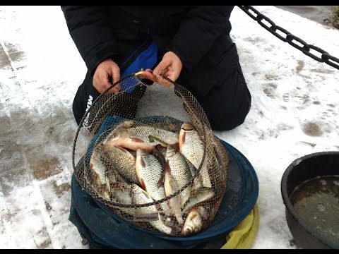 Видео: Зимний фидер. Мастер-класс от Дмитрия Зимарева