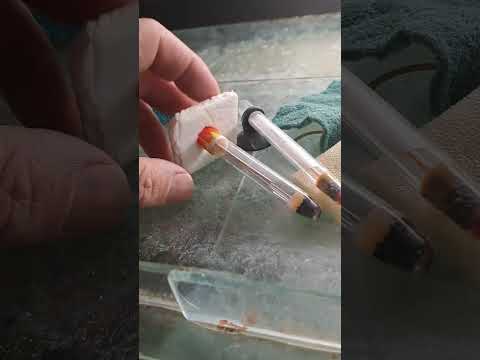 Видео: Основно почистване на 200 л. аквариум.Някои полезни съвети